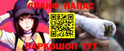 стаф Бузулук